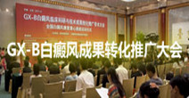 CCTV4报道：GX-B白癜风成果转化推广大会在北京举行